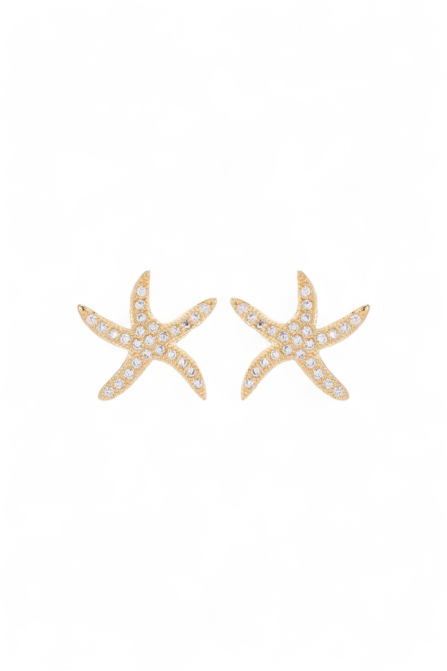 Topo Estrella Mar