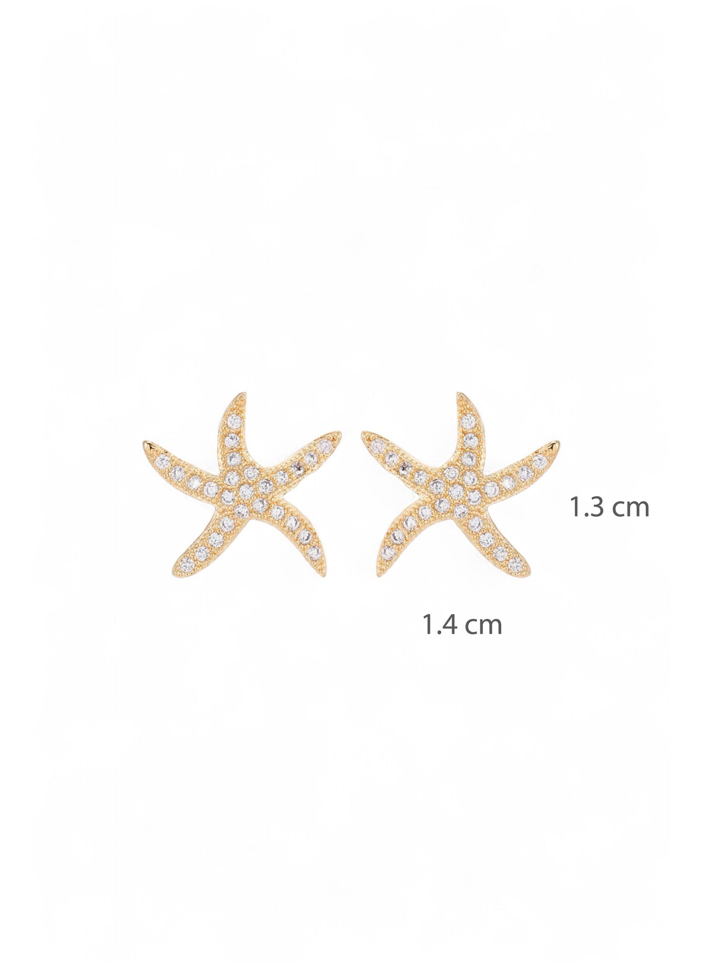 Topo Estrella Mar