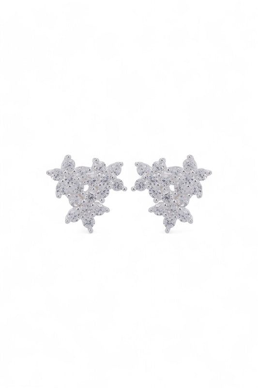 Topo Plata Greta