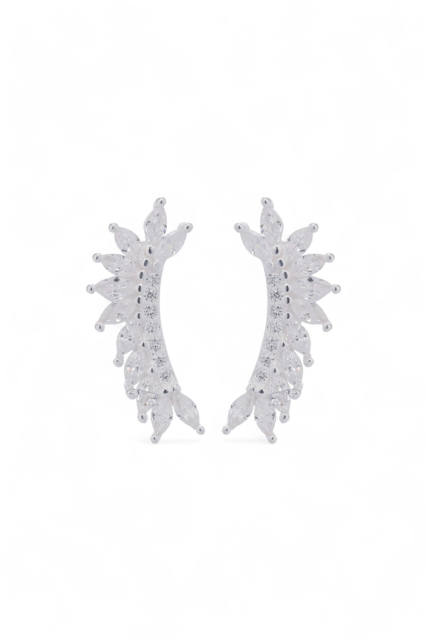 Topo Plata Beatrice