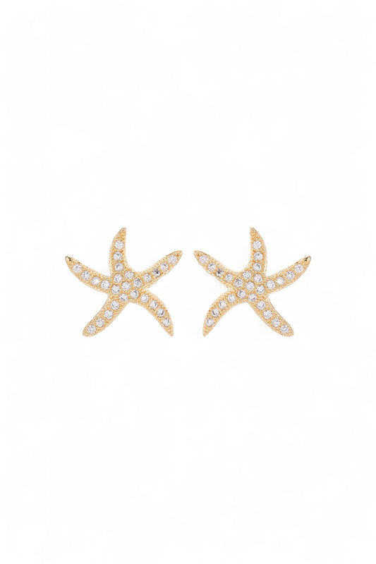 Topo Estrella Mar